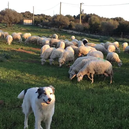 Ferienhaus Su Saucu *