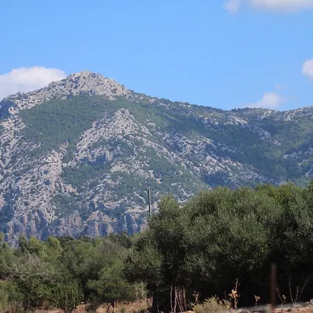 Su Saucu * Dorgali
