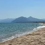 Su Saucu دورغالي