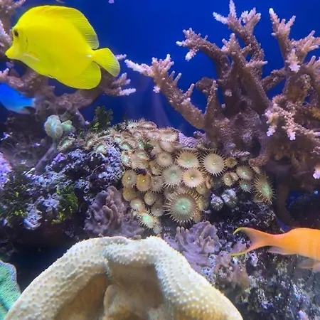 Casa vacanze Su Saucu Dorgali