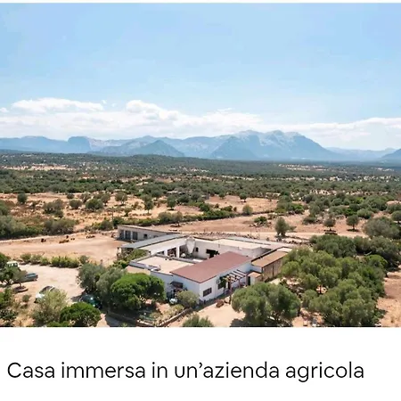 Su Saucu * Dorgali
